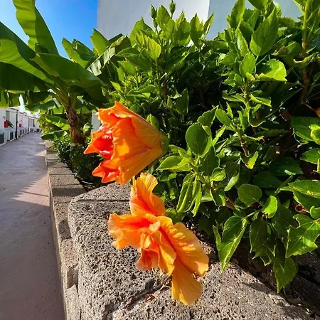 Malibu Blue Apartament Costa Adeje (Tenerife)